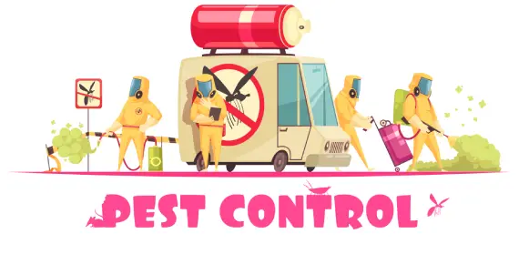 # 1 Trused Local Pest Control  In bayswater