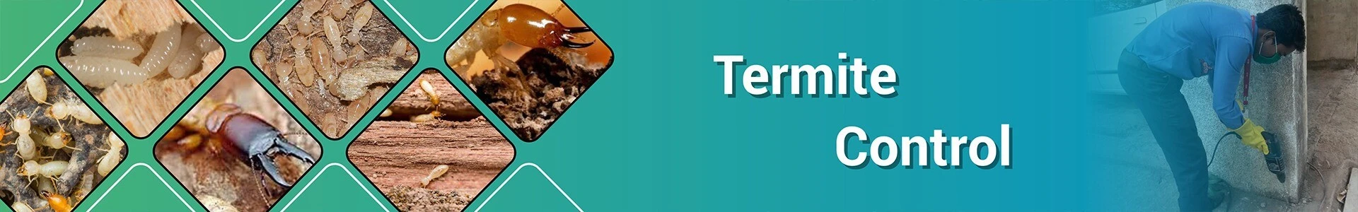 Termite Control