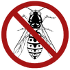 Wasp Control Bayswater